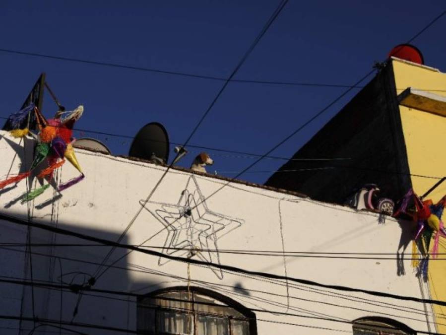 FOTOS: Así es el barrio Roma en la Ciudad de México, lugar que inspiró la exitosa película de Alfonso Cuarón