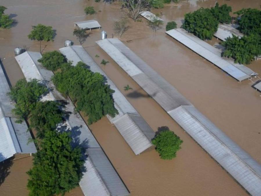 Fotos: Valle de Sula se mantiene bajo el agua tras el devastador Iota