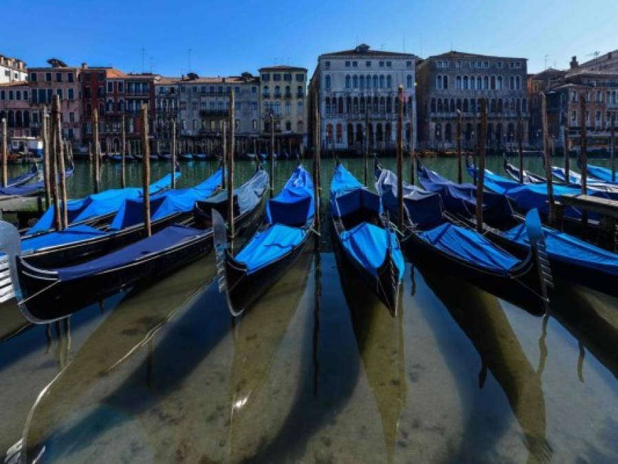 Aguas cristalinas y libres de contaminación, así lucen canales de Venecia por cuarentena