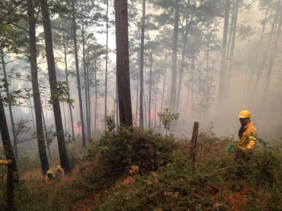 Imágenes del voraz incendio en el cerro Uyuca, salida al oriente de la capital de Honduras