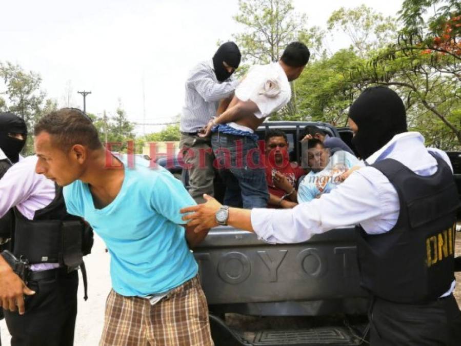 Palabreros, mulas y banderas: la jerarquía de la temible Mara Salvatrucha (FOTOS)