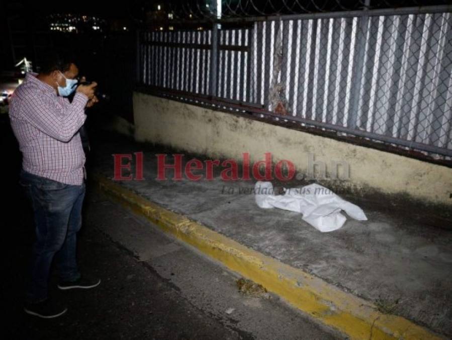 Lo que se sabe del brutal asesinato de la exdiputada Carolina Echeverría Haylock (Fotos)