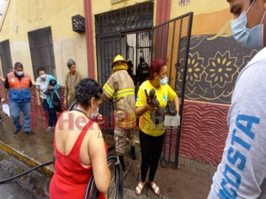 Incendio casi destruye por completo histórico inmueble de la avenida Cervantes (FOTOS)