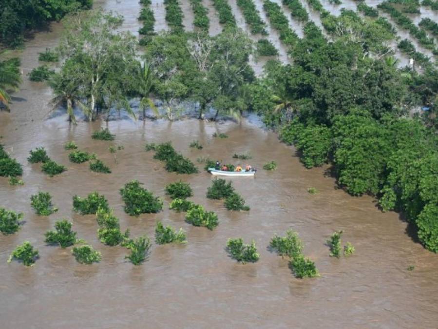 Fotos: Valle de Sula se mantiene bajo el agua tras el devastador Iota