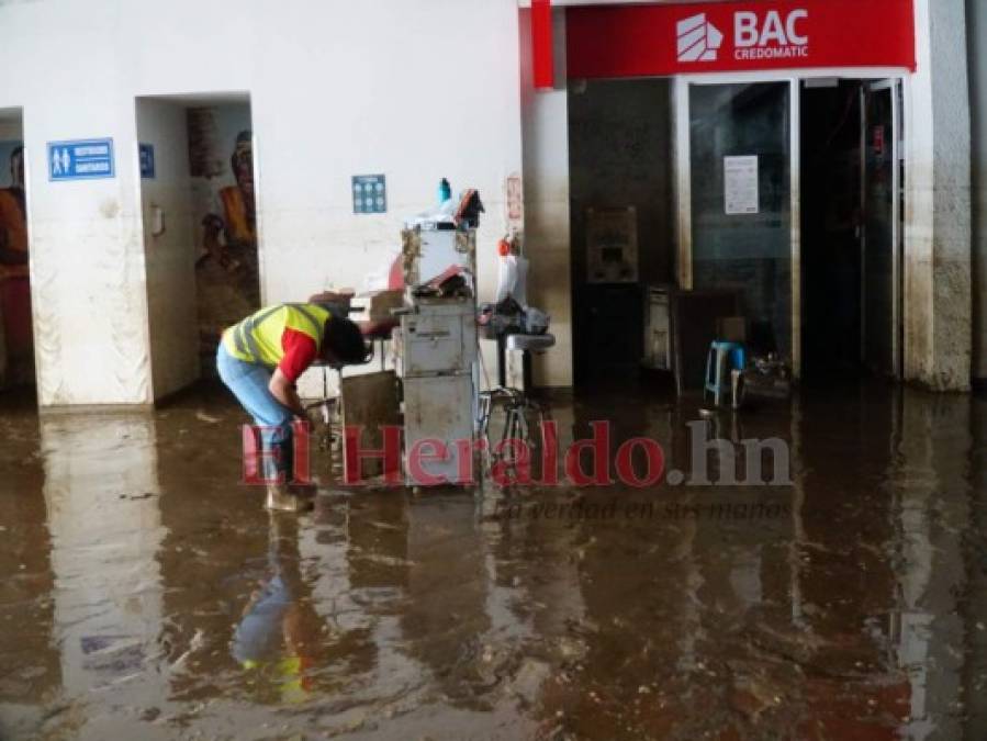 FOTOS: Así avanza la limpieza del aeropuerto de San Pedro Sula