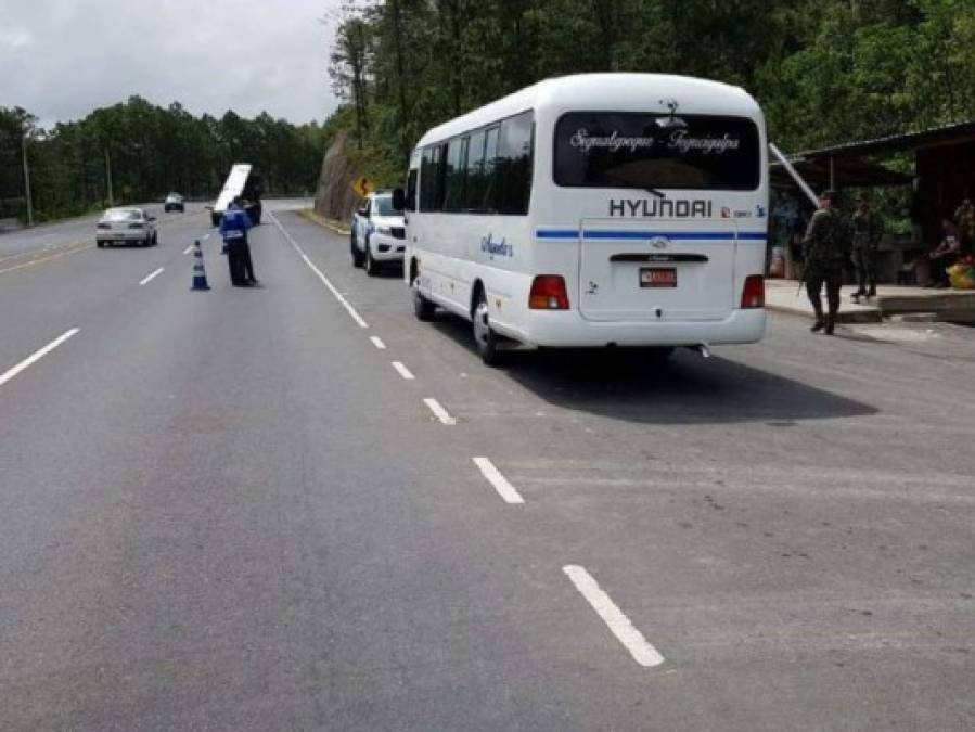 Femicidios, dos masacres y el crimen contra una joven abogada entre sucesos de la semana