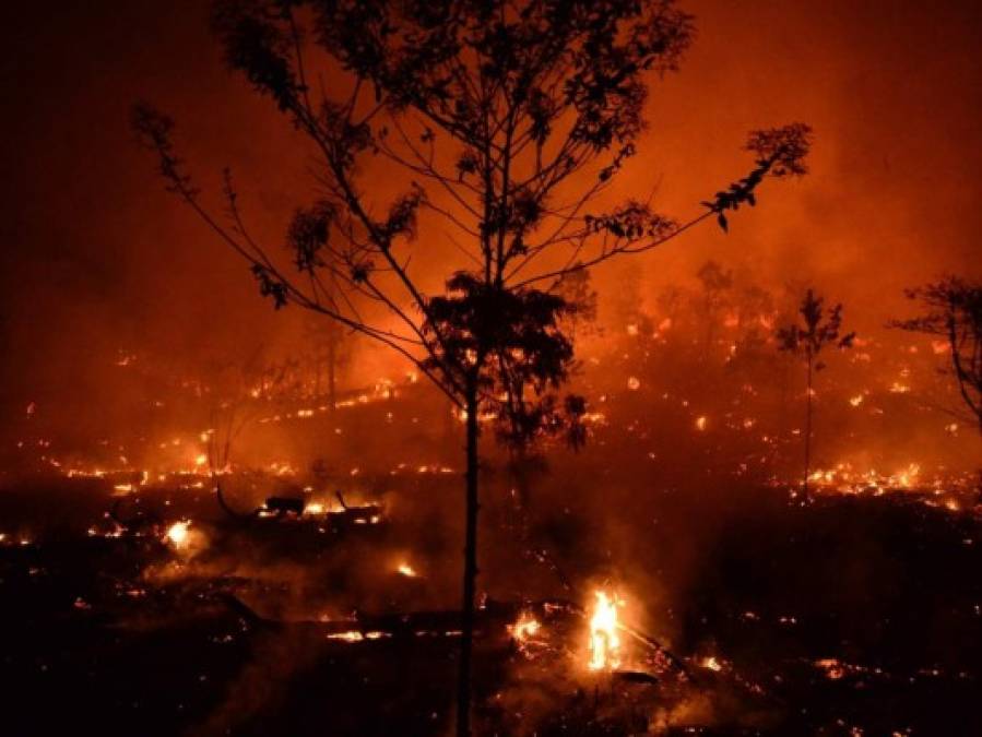 Impactantes imágenes del incendio forestal que arrasó varias hectáreas en El Hatillo