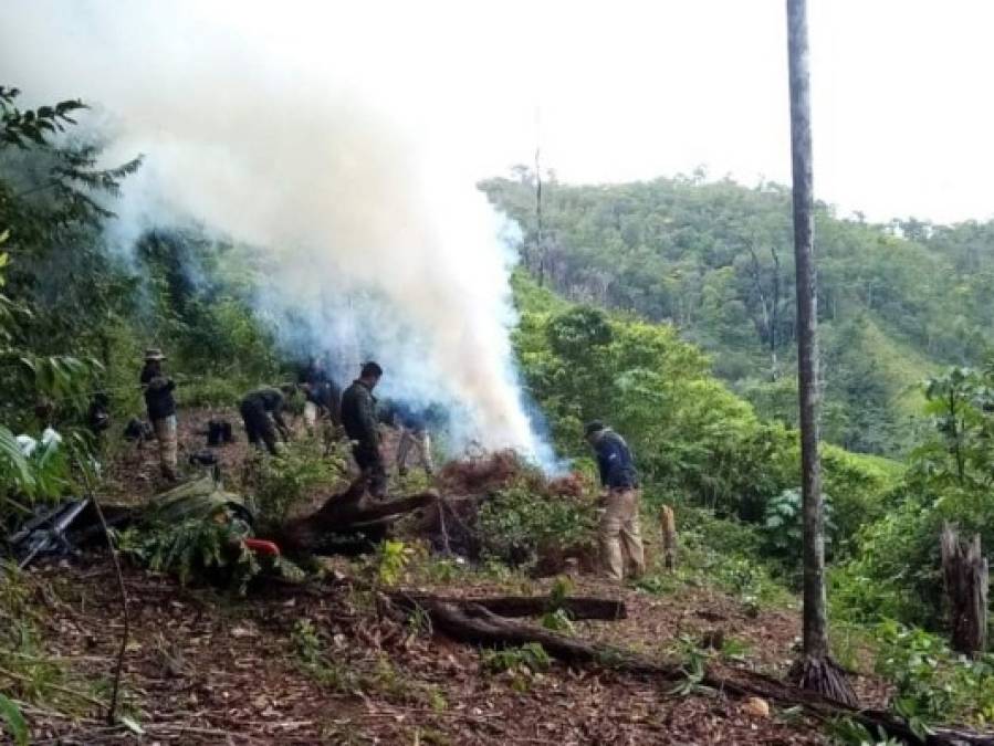 FOTOS: Así es la zona donde desmantelaron narcolaboratorio en Colón