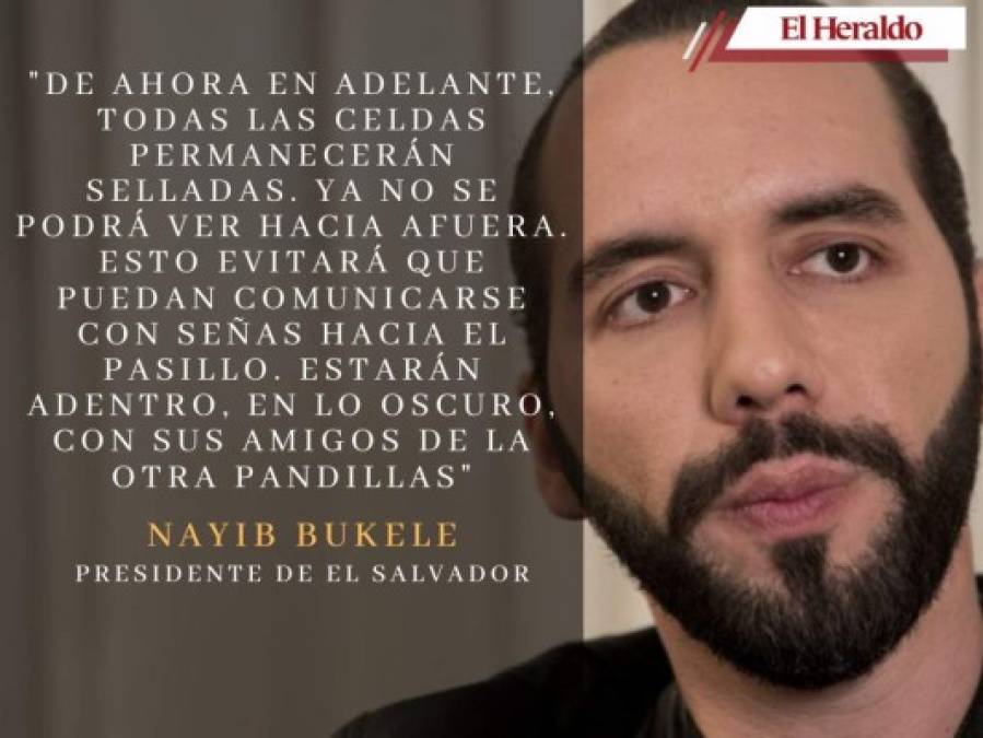 Las frases más polémicas de Bukele contra las maras y pandillas de El Salvador