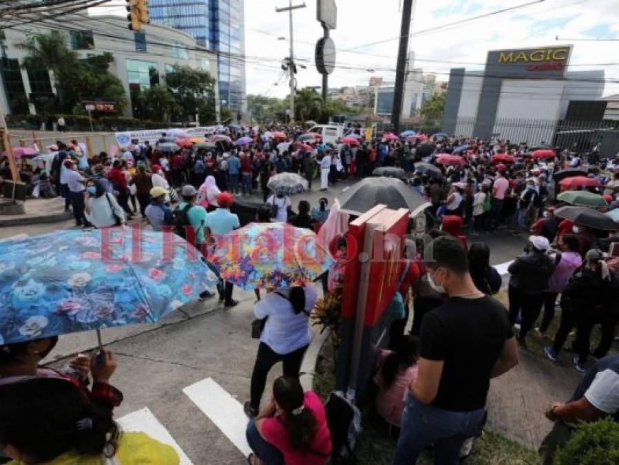 Miles de maestros Proheco protestan por su permanencia en la capital (FOTOS)