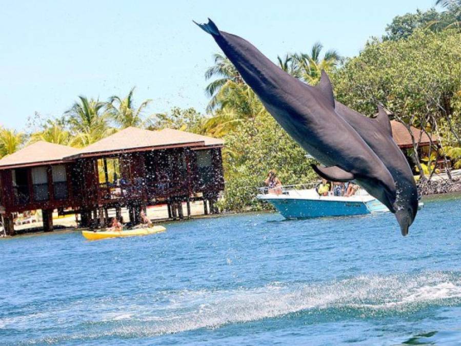 La Nasa destaca a Roatán como un gran destino turístico