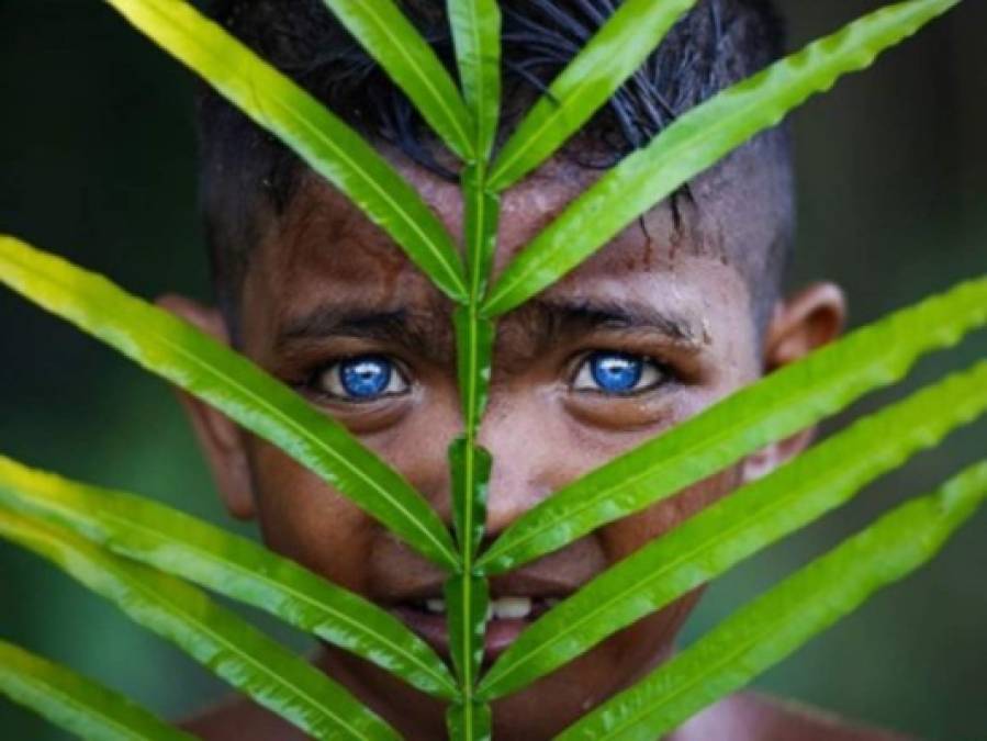 Los hipnotizantes ojos azules y brillantes de una tribu en Indonesia (FOTOS)