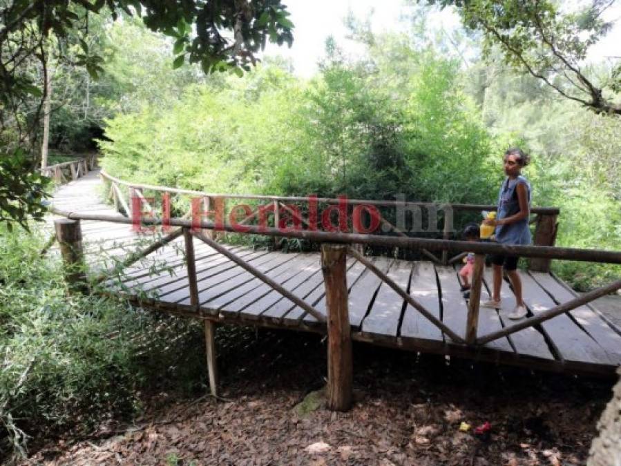 Familias enteras disfrutan la belleza natural de El Picacho (FOTOS)