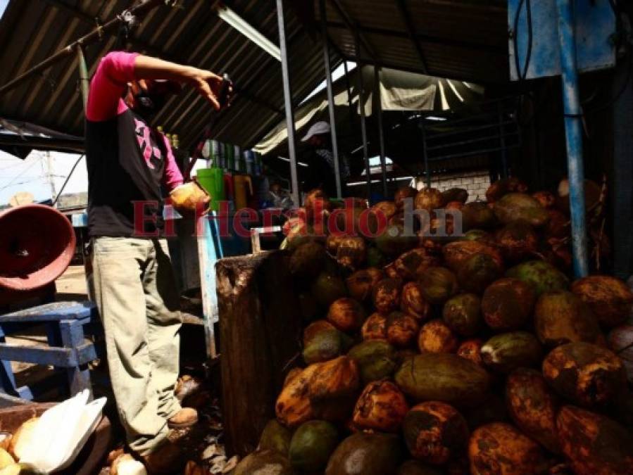 Comerciantes se reinventan para garantizar protección a sus clientes (FOTOS)