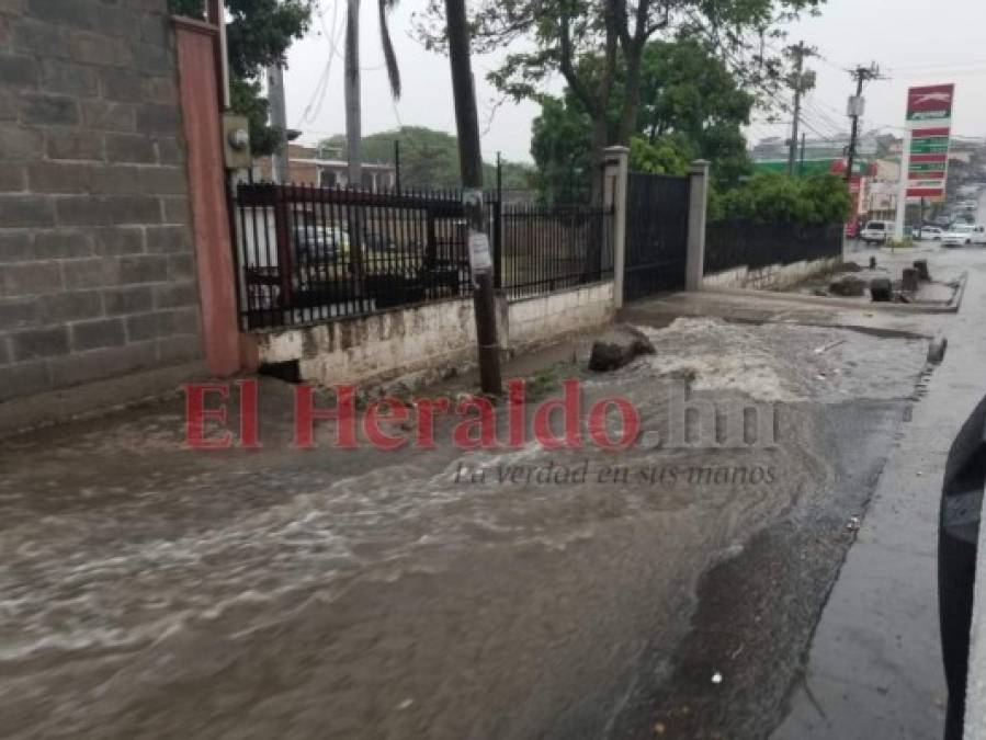 FOTOS: Postes caídos, mercados y calles inundadas, así permanecía la capital durante intensa lluvia