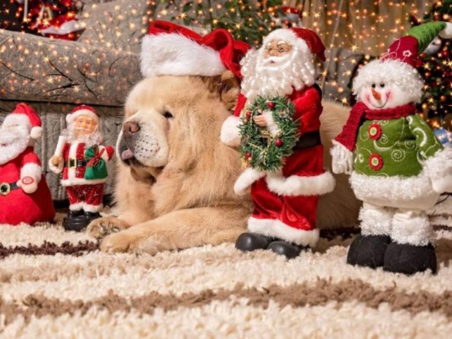 Papá Noel y Jingle Bells: Nueve datos curiosos sobre la Navidad (FOTOS)