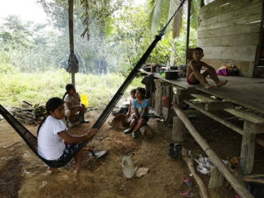 Las mejores fotos que marcaron la semana en América Latina 