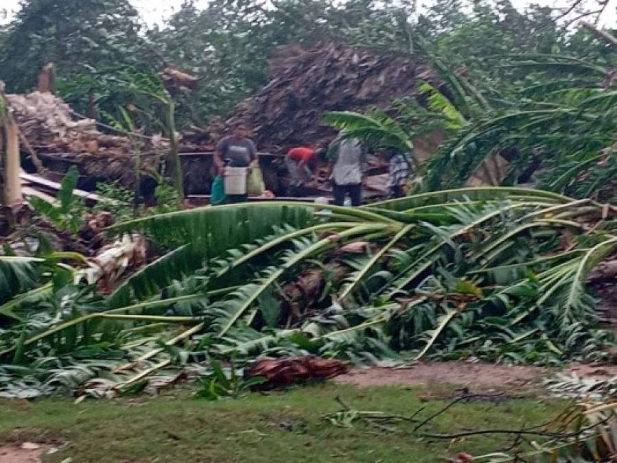 FOTOS: Huracán Iota ya deja severos daños en La Mosquitia