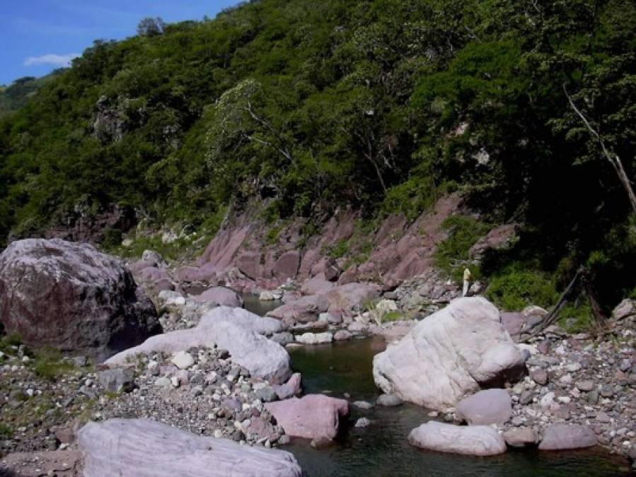 Biósfera de San Marcos de Colón y su cautivadora belleza natural que adorna Honduras