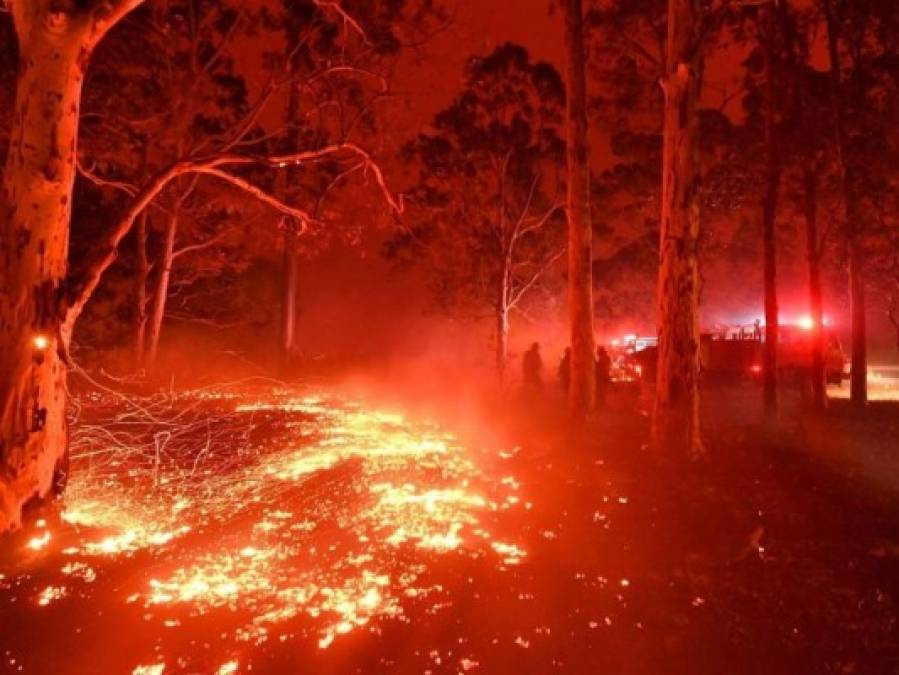 Enfermedades, incendios y muerte de personalidades: el catastrófico 2020 en imágenes