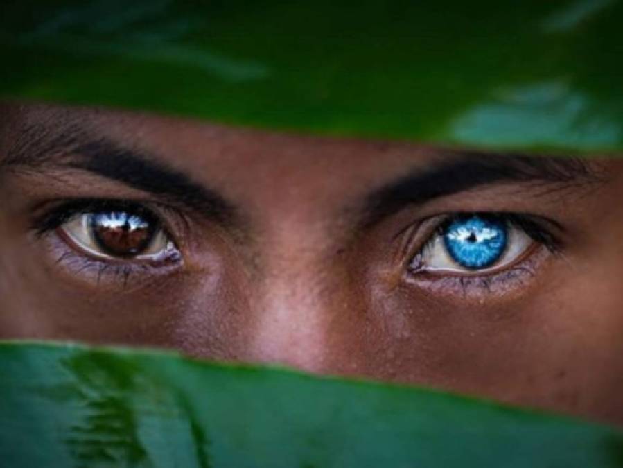 Los hipnotizantes ojos azules y brillantes de una tribu en Indonesia (FOTOS)