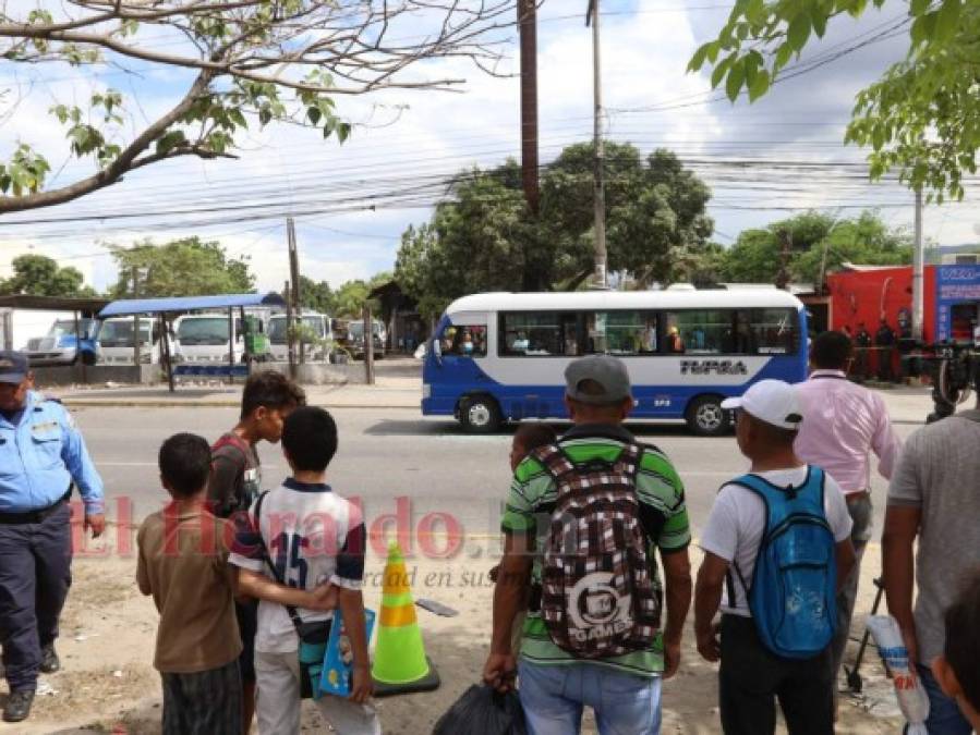 Luto en el transporte: Matan a motorista en San Pedro Sula; tres niños quedan huérfanos