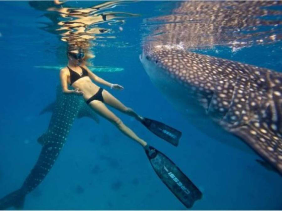 Oceans Ramsey, la sexy bióloga que te hará cambiar la forma de ver a los tiburones