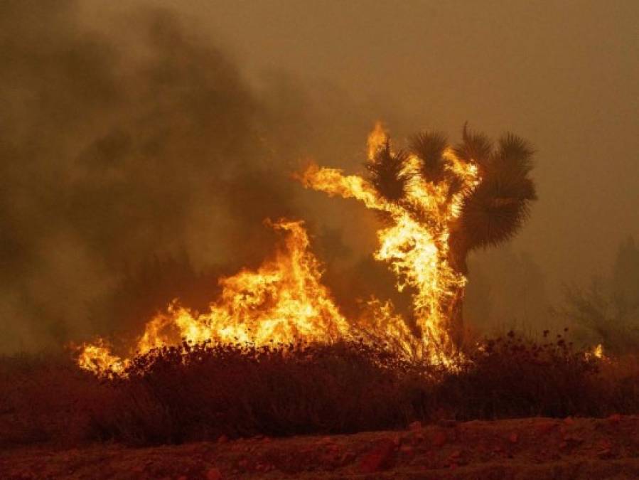 Las imágenes más impactantes del incendio Bobcat que arrasa California