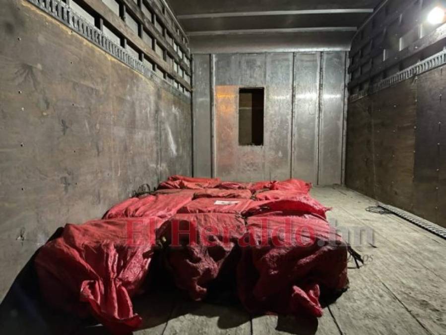 Compartimento falso y estampas de gallo: fotos del decomiso de droga en Atlántida