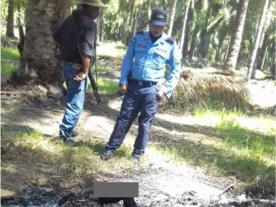 Una masacre, varios femicidios y la tragedia en una mina de Olancho entre los sucesos de la semana en Honduras