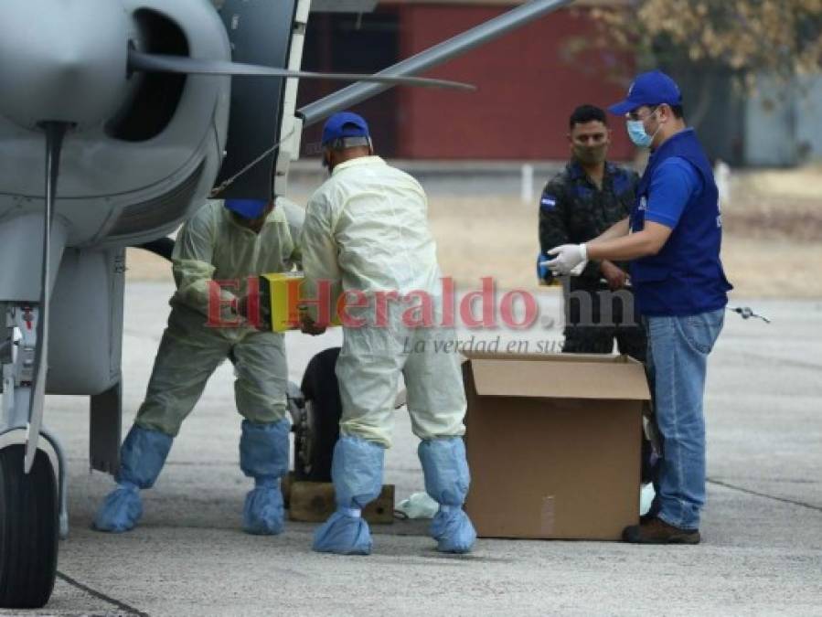 FOTOS: Honduras recibe 8 mil pruebas PCR para detectar coronavirus