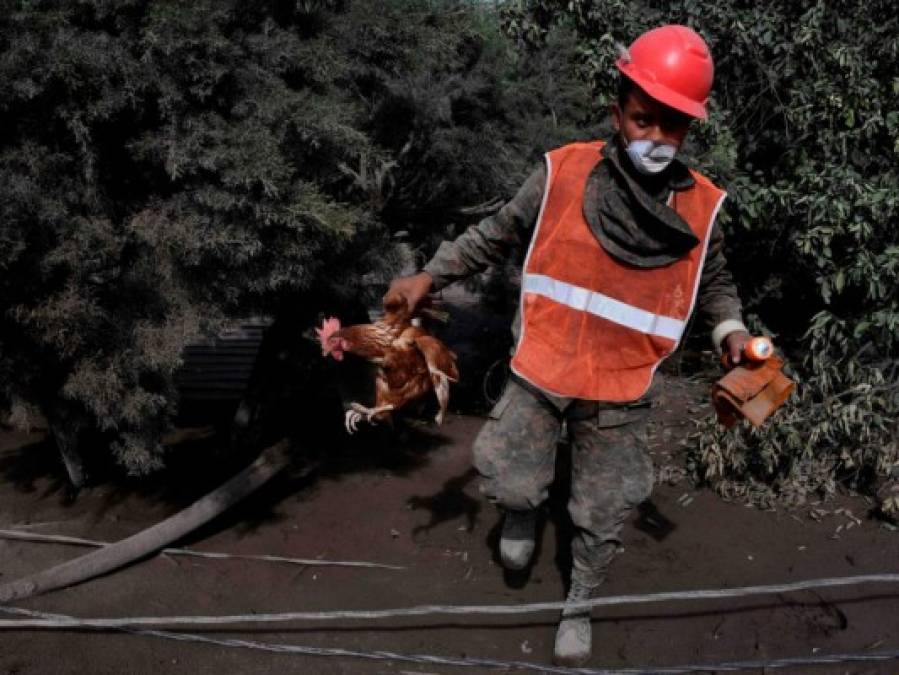 ﻿Fotos: La noble labor de los héroes anónimos tras erupción del volcán de Fuego en Guatemala