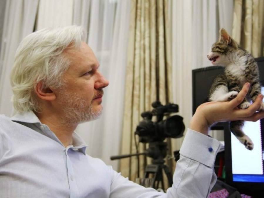 Fotos: James, el peludo amigo inseparable de Julian Assange