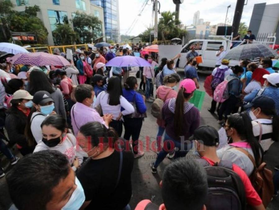 Miles de maestros Proheco protestan por su permanencia en la capital (FOTOS)