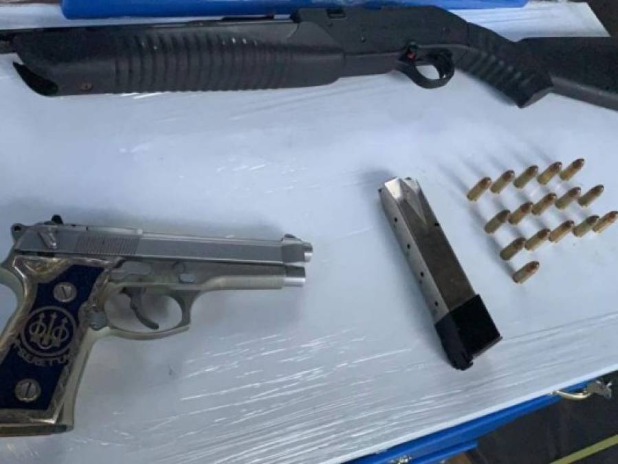 Operación Independencia: Hallan armas y especies en peligro de extinción