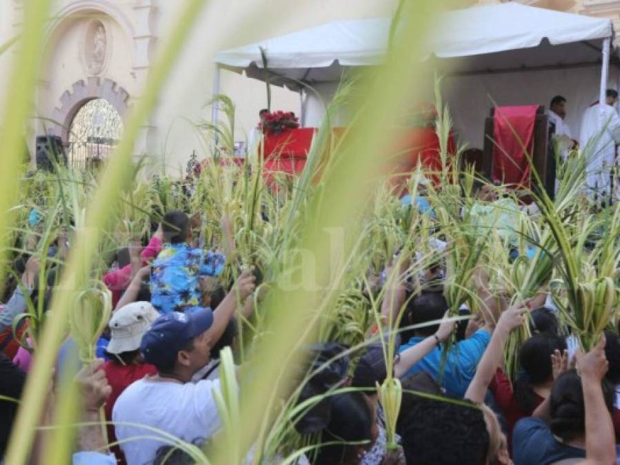 Honduras recibe la Semana Santa con miles de ramos en Tegucigalpa