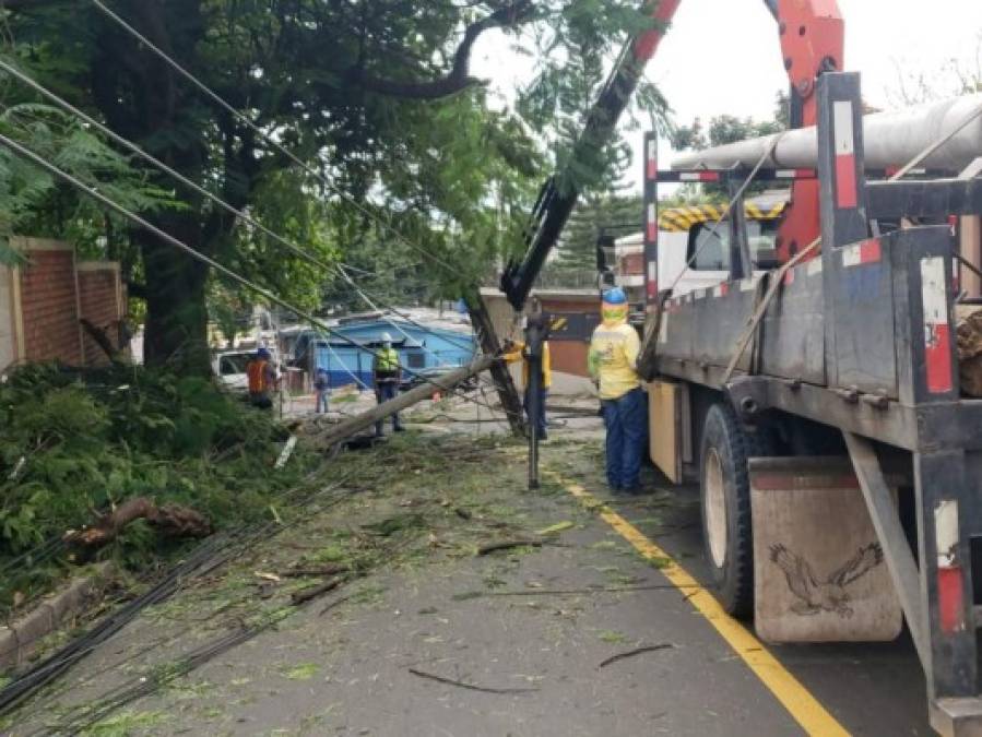 Fuertes lluvias dejan aludes, inundaciones y caídas de árboles en distintos sectores del país