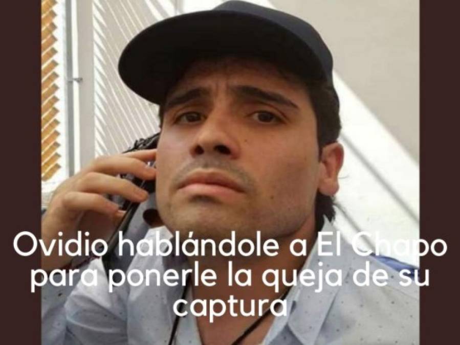 Los divertidos memes de 'El Chapo' Guzmán tras la liberación de su hijo en México