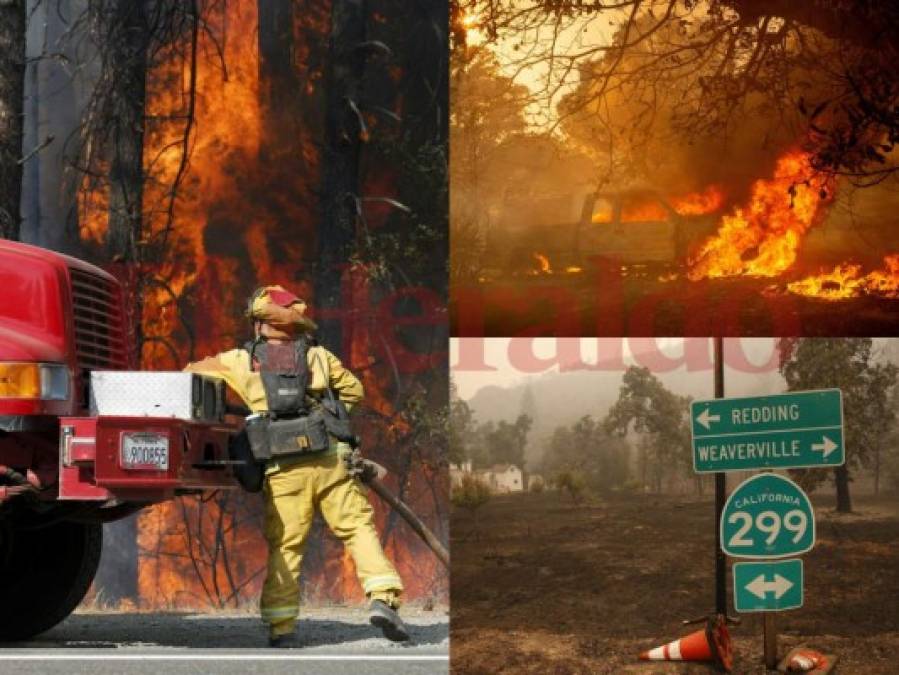 Así son los mortíferos incendios forestales en California, Estados Unidos