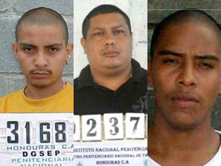 Casos de pandilleros presos que salieron en libertad y pusieron en vergüenza a la justicia de Honduras