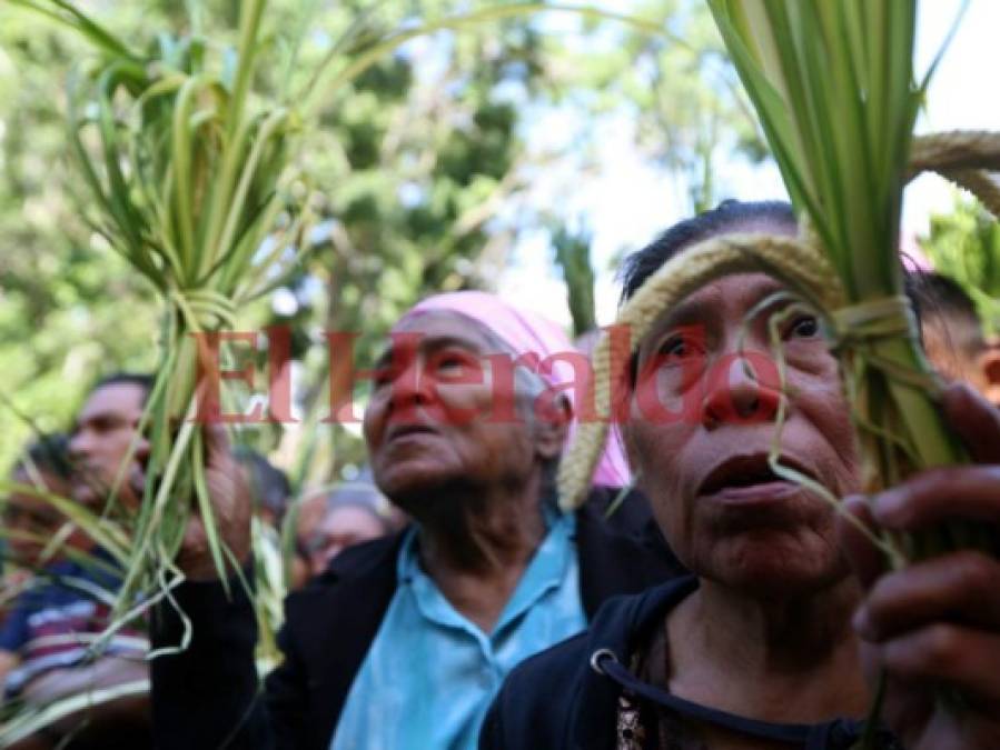 Semana Santa: Pasión y júbilo entre los hondureños en el Domingo de Ramos