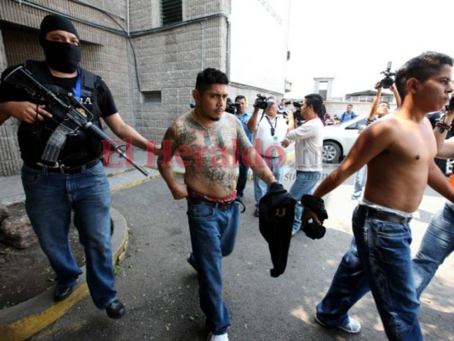 Palabreros, mulas y banderas: la jerarquía de la temible Mara Salvatrucha (FOTOS)