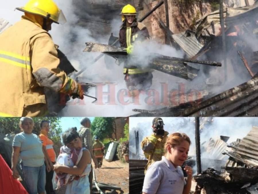 Las imágenes del incendio que consumió cuatro casas en la colonia 3 de Mayo  