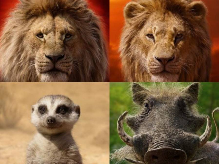 FOTOS: Así lucen los personajes de la nueva versión de 'El Rey León'