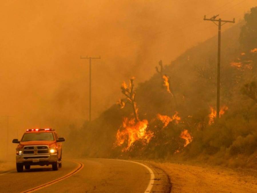 Las imágenes más impactantes del incendio Bobcat que arrasa California