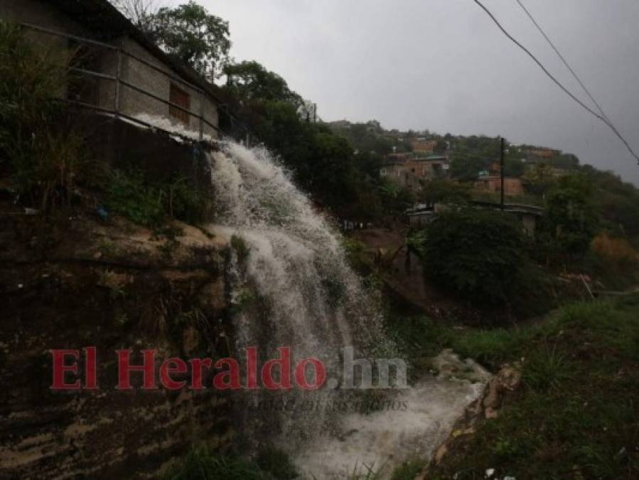 Imágenes de la fuerte lluvia que sorprendió este miércoles a los capitalinos