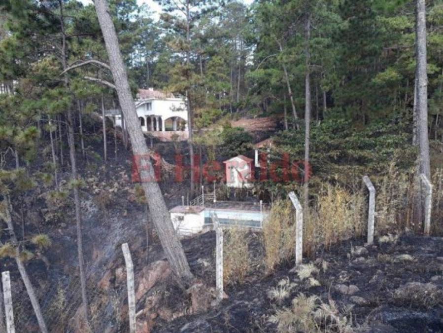 Imágenes del letal incendio que consumió el bosque en El Hatillo