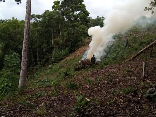 FOTOS: Así es la zona donde desmantelaron narcolaboratorio en Colón