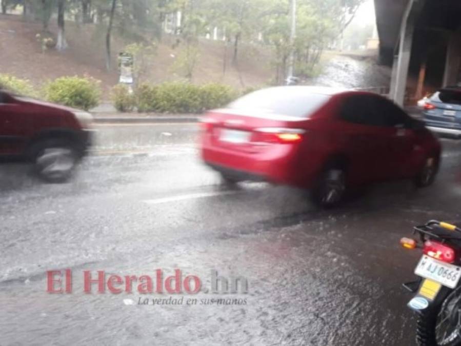 FOTOS: Fuertes lluvias alegran a capitalinos ante prologanda sequía