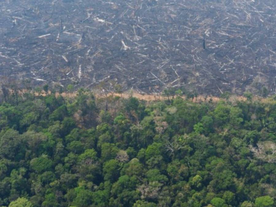 Las impactantes fotos de los desastres que deja el incendio en Amazonia